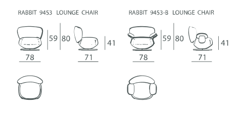 Rabbit — Dimensions